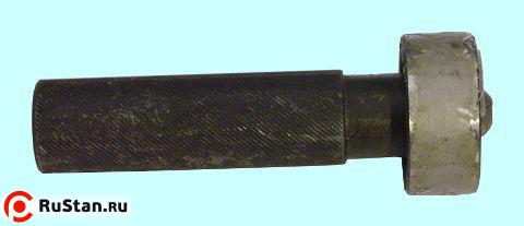 Пробка гладкая d  50,1 Н12 ПР (8136-8768) фото №1